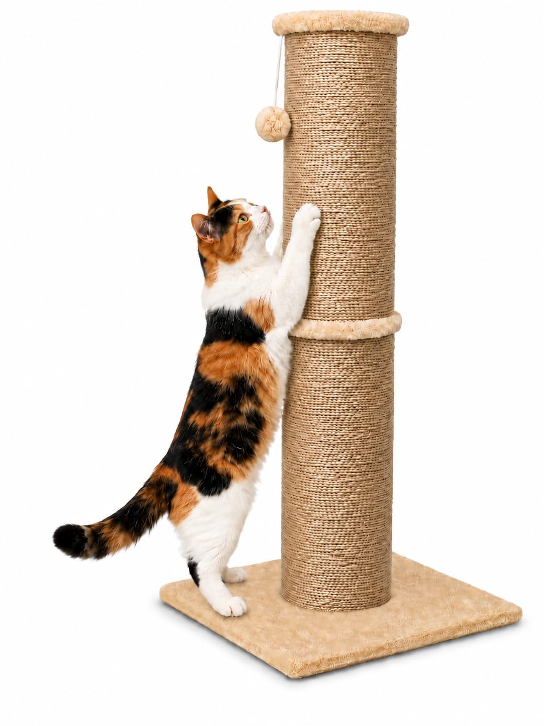PAWSCRAT 32-Inch Tall Cat Scratching Post, 5.5-Inch Diameter, Sisal, Beige