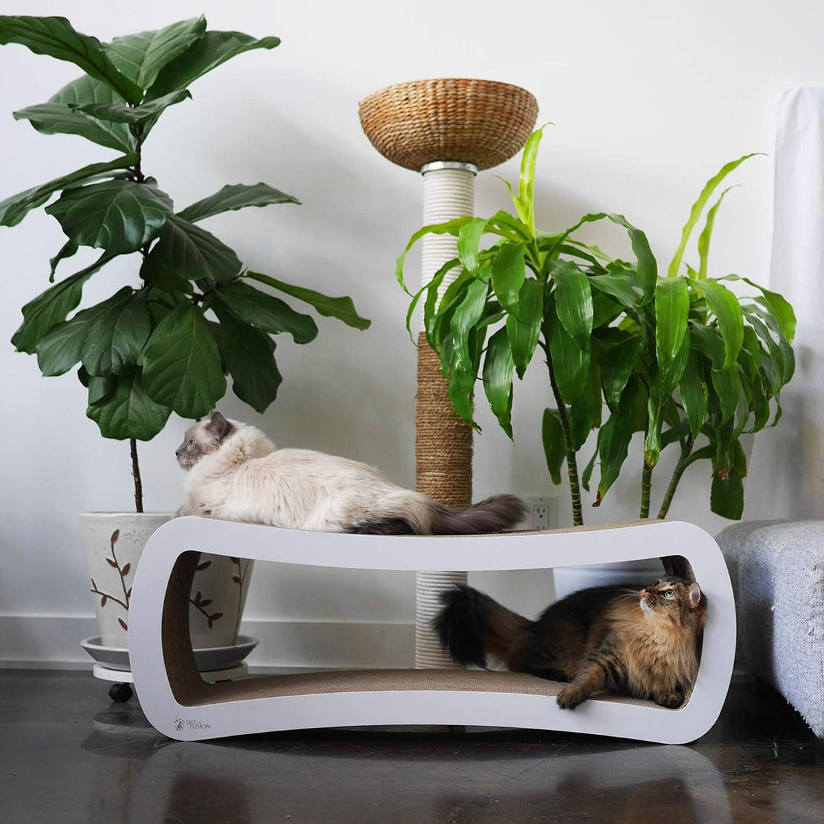 PetFusion Jumbo Cat Scratcher Lounge (99 x 28 x 36 cm, Cloud White). Superior Cardboard & Construction, significantly outlasts cheaper alternatives.
