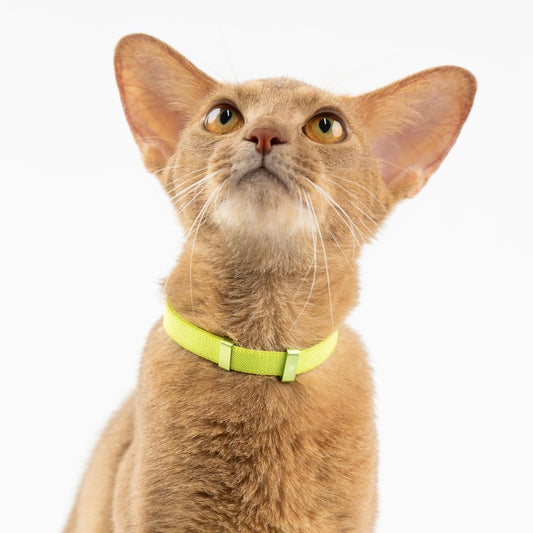 Safety Cat Collar - U.S. IDA Gold Awarding Design, Stretch Elastic Quick Release, Non Breakaway - Light Weight for Kitten, Neck Fit 5.9'-11.8' for All Small Large Cat,S(Blush Pink)