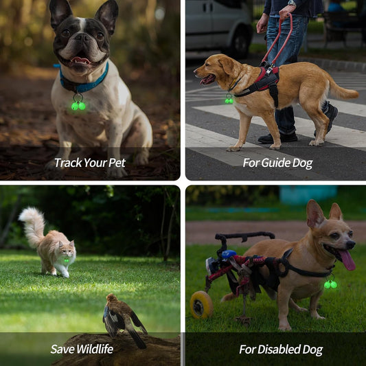 Bells for Dog Collar, Glow Bell for Medium to Large Dogs, Easy Clip Clasp, Extra Loud Pet Tracker & Save Wildlife, Durable Copper Bells (Small-medium breed)