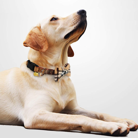 2 Pack/Set Dog Collars with Bow Tie and Bells, Adjustable Cute Dog Bow Ties Collar for Small/Medium/Large Boys and Girls Pets (Black+Brown, S(9.6''-13.8''))