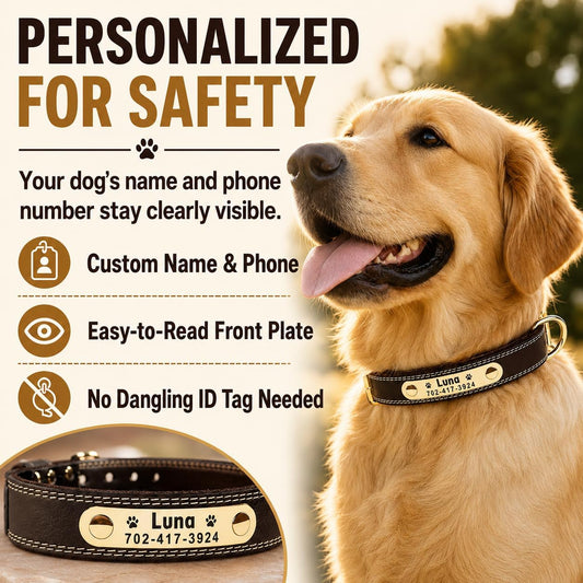Personalized Dog Collar - Custom Leather Dog Collar with Engravable Nameplate - Durable Name Tag Collar - Customizable Dog Collar - Comfortable ID Collars for Small, Medium, Large Dogs (Medium)