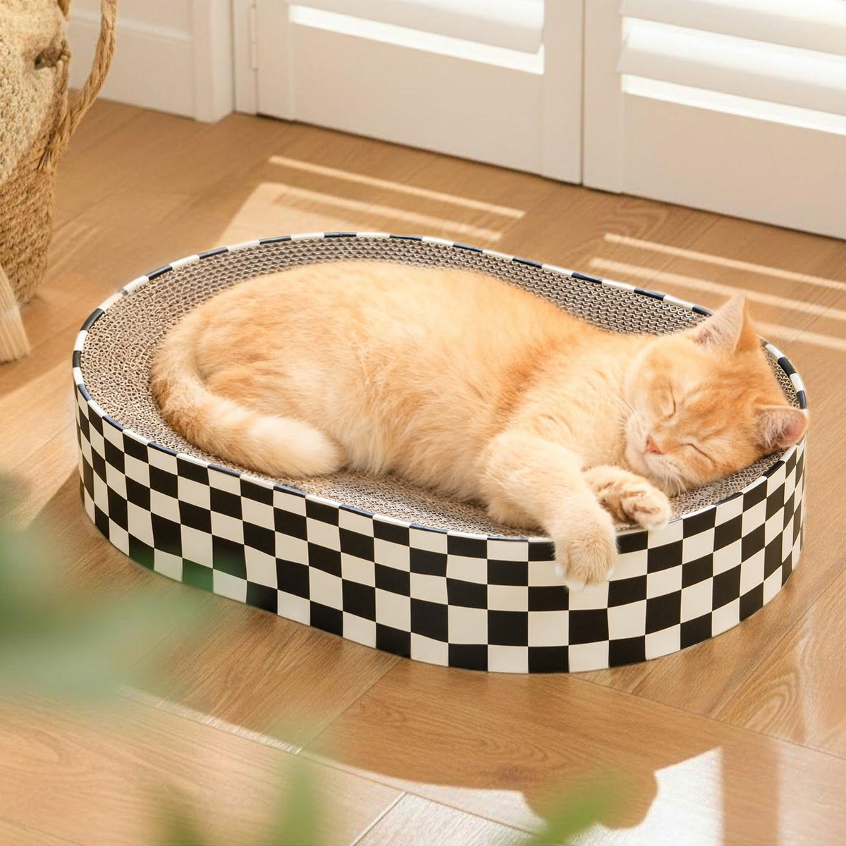 Conlun Oval Cat Scratcher Bed | Scratching Bowl Lounge for Kittens | Medium