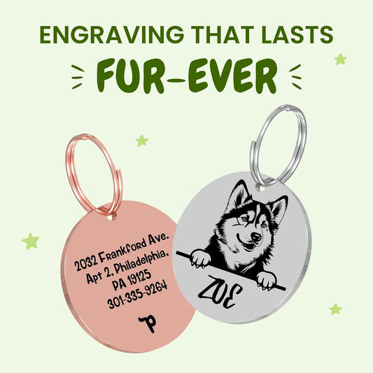 PawFurEver Dog Tags Personalized for Pets - Dog Name Tags Personalized with Any Name & Text from 77 Breeds, Custom Pet Tag for Collar for Puppy, Pet ID Tag Personlised Stainless Steel, Circle, Silver