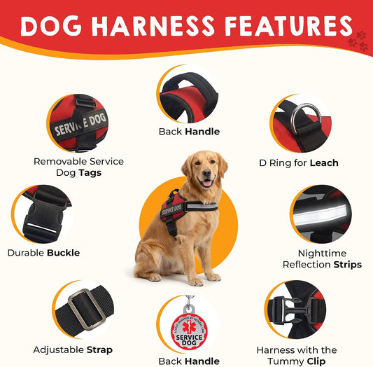 Service Dog Vest, ID Tag 50 ADA Information Cards - Harness with Patchs - L