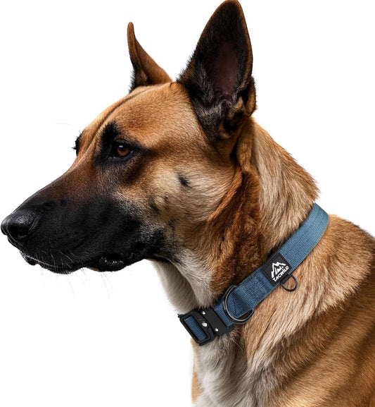 Dog Collar for Large Medium Dogs Heavy Duty Nylon Tactical Training