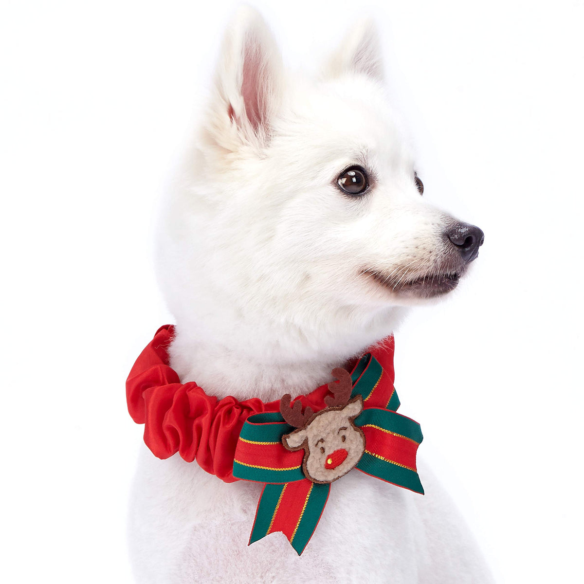 Blueberry Pet “Moments of Excitement” Christmas Snowman Adjustable Bowtie Dog Collar, X-Small, Fits 8"-11" Neck