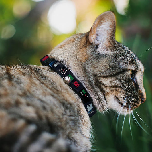 Star Wars Breakaway Cat Collar