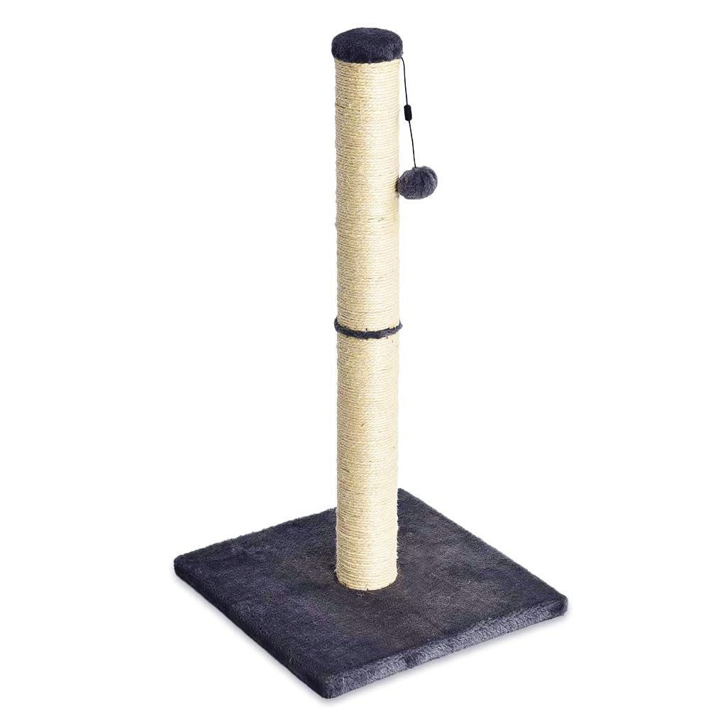 Amazon Basics Cat Scratching Post for Indoor Cats & Kittens, Medium (31.5"H), Cat Furniture with Dangling Ball Toy, Grey
