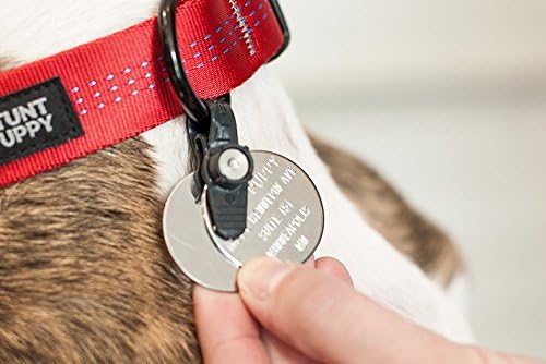 FreezeTag Dog Tag Silencer and Connector, One Size, Graphite
