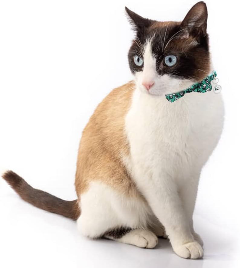 3 Pack Bowtie Skull Cat Collar Adjustable Quick Release Collar with Bell Black Pink and Green