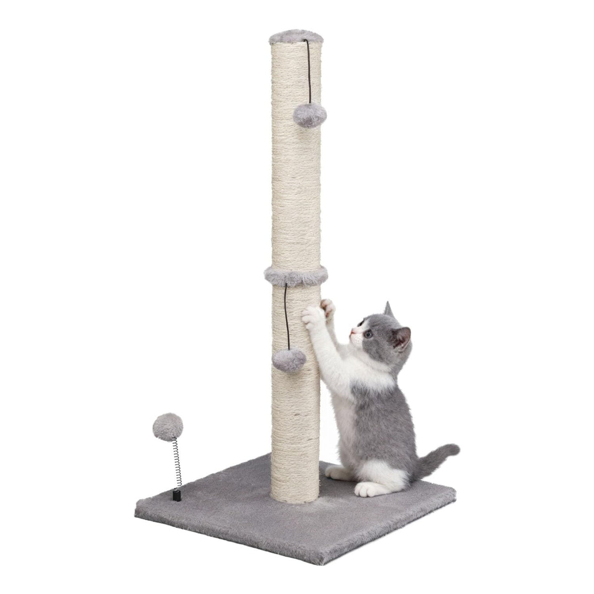 MECOOL 34“ Tall Cat Scratching Post Premium Basics Kitten Scratcher Sisal Scratch Posts Trees with Hanging Ball for Indoor Cats (34 inches for Adult Cats, Cactus Green)