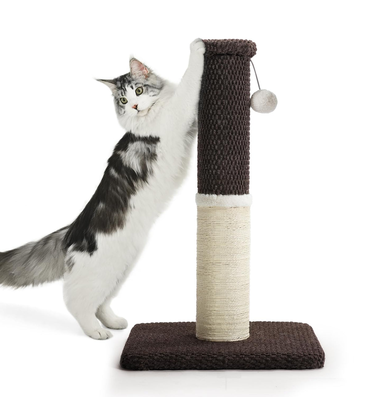 Made4Pets Tall Cat Scratching Post with Sisal & Carpet for Indoor Cats, 33"