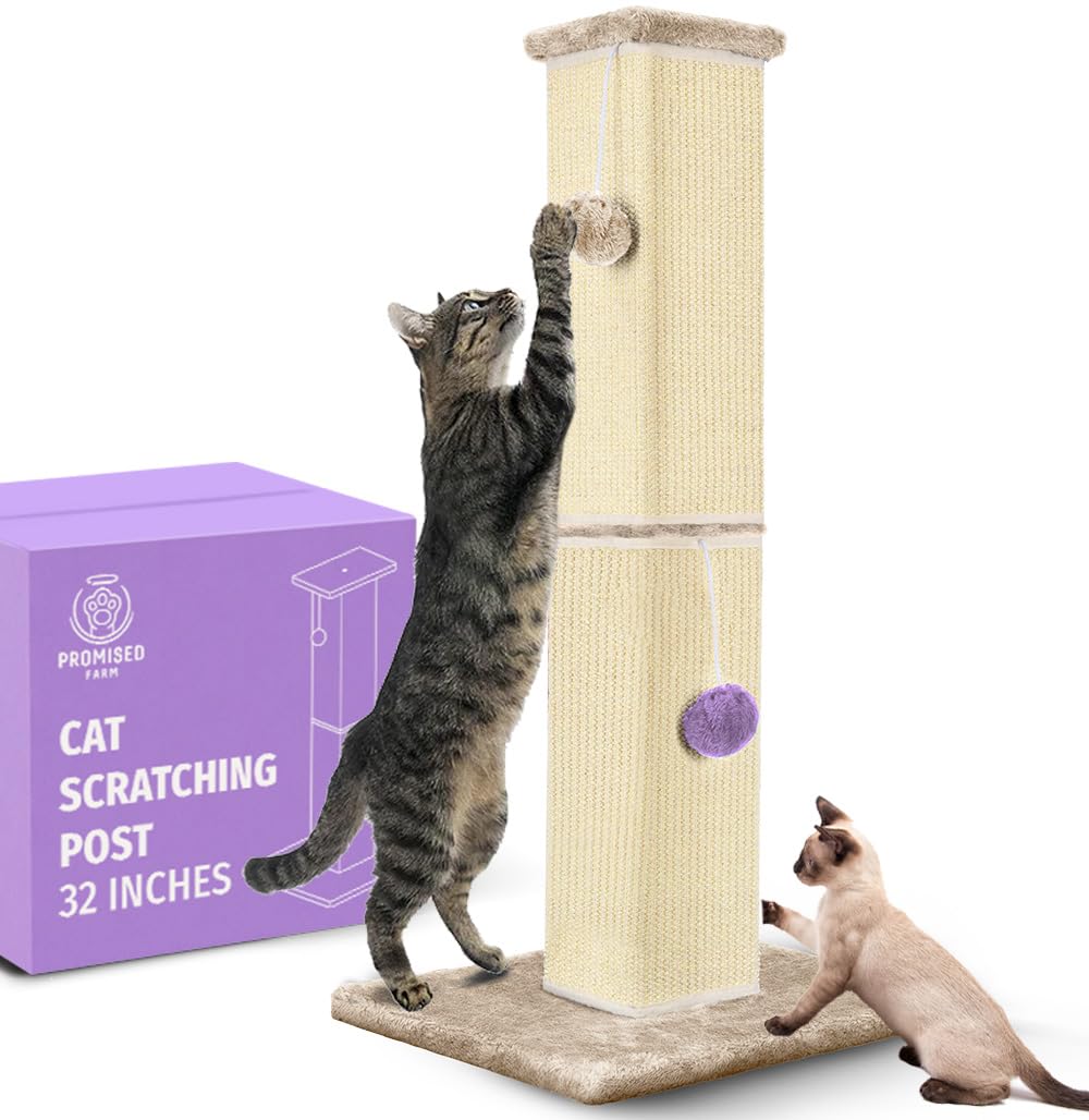 Tall Cat Scratching Post 32 Inches – Cat Scratcher for Indoor Cats Protect Furniture – Durable and Sturdy Design – Aesthetic Cat Accessories Essentials Grey/Blue