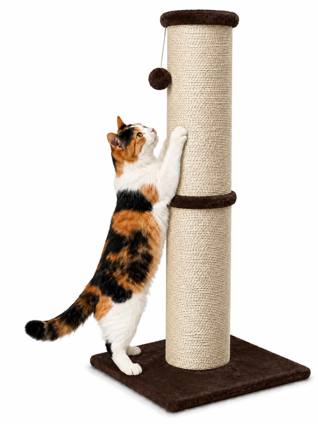 PAWSCRAT 32-Inch Tall Cat Scratching Post, 5.5-Inch Diameter, Sisal, Beige