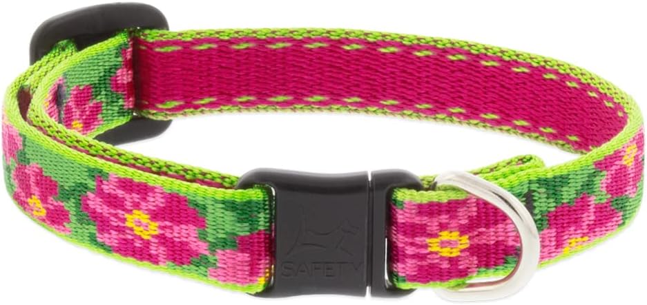 Lupine Cat Safety Collar with Bell 1/2" Wide Petunias adjusts 8-12"