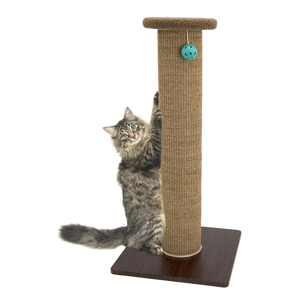 Kitty City Tall Sisal Cat Scratching Post, 32” Durable Scratcher with Sturdy Base & Hanging Jingle Toy, Easy Assembly, Furniture Protection for Indoor Cats - Gray