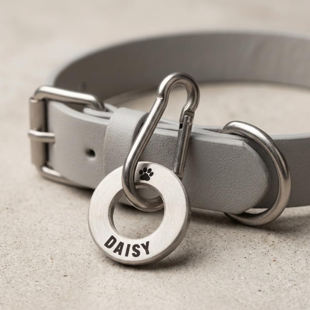 Solid Brass or Stainless Steel, Deep Engraved & Polished Dog/Pet ID Tag