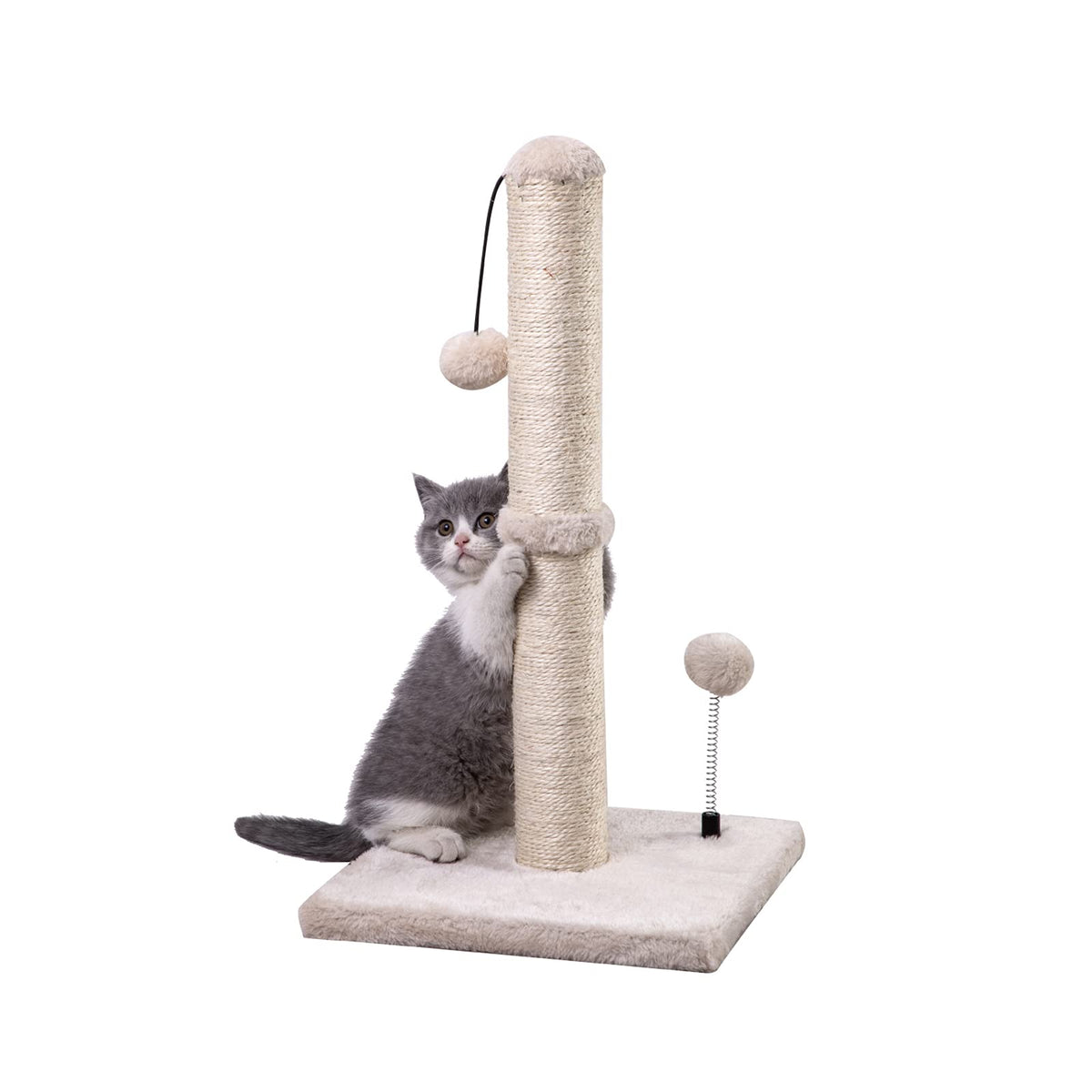 MECOOL 34“ Tall Cat Scratching Post Premium Basics Kitten Scratcher Sisal Scratch Posts Trees with Hanging Ball for Indoor Cats (34 inches for Adult Cats, Cactus Green)