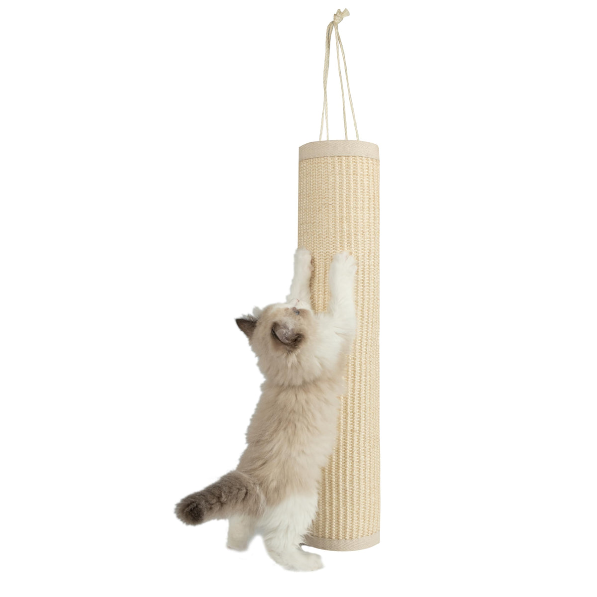 Best Pet Supplies Catify Cat Scratching Ramp - Gray