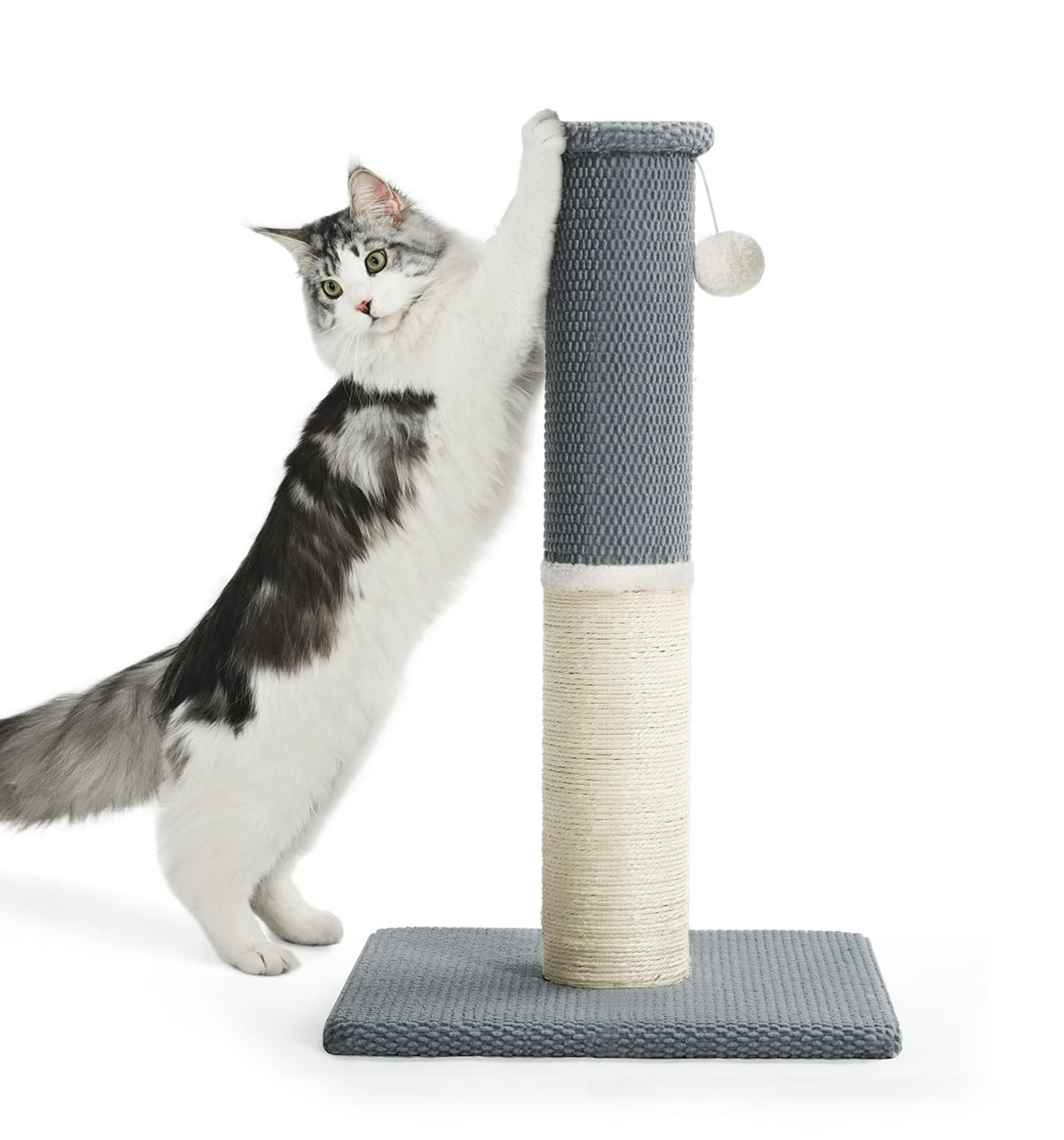 Made4Pets Tall Cat Scratching Post with Sisal & Carpet for Indoor Cats, 33"