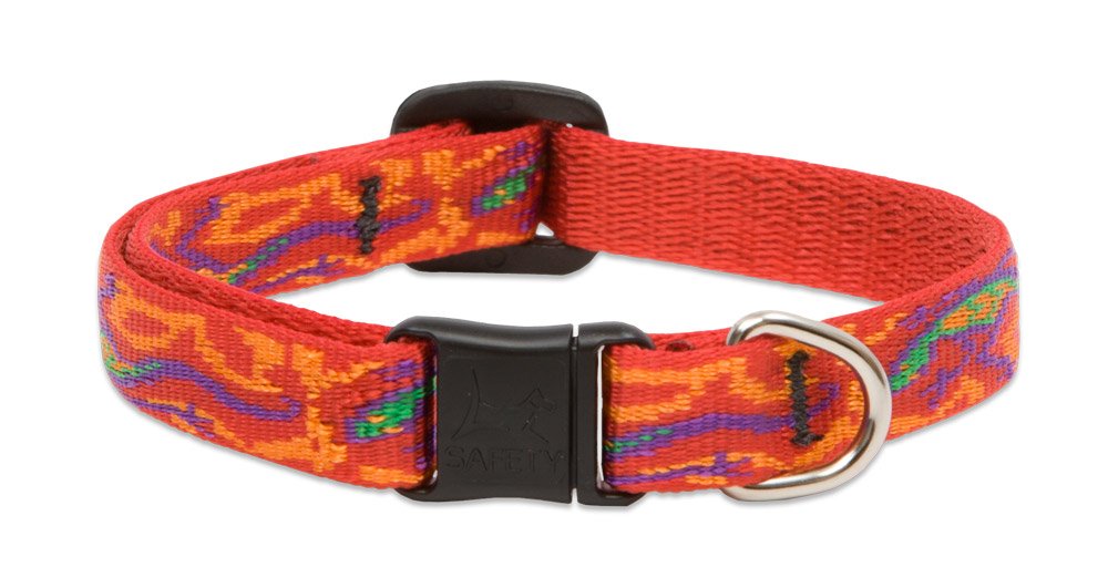LupinePet Originals 1/2" Jelly Roll Cat Safety Collar, 8-12"