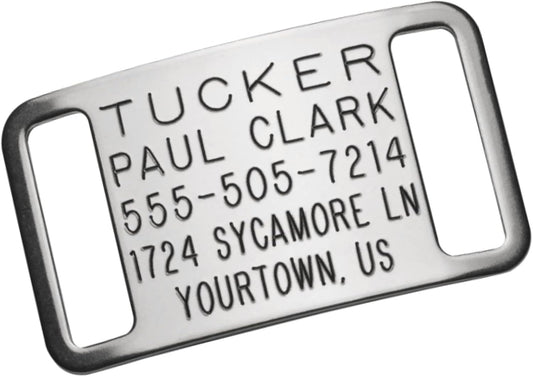 Boomerang Tags Slide on Dog ID Tags Engraved for Pets - Collar Tag, Personalized, Silent, Custom Slide-on Stainless Steel Dog Name Tag (Closed End Large for 1 Inch Wide Nylon Collars with Belt Buckle)