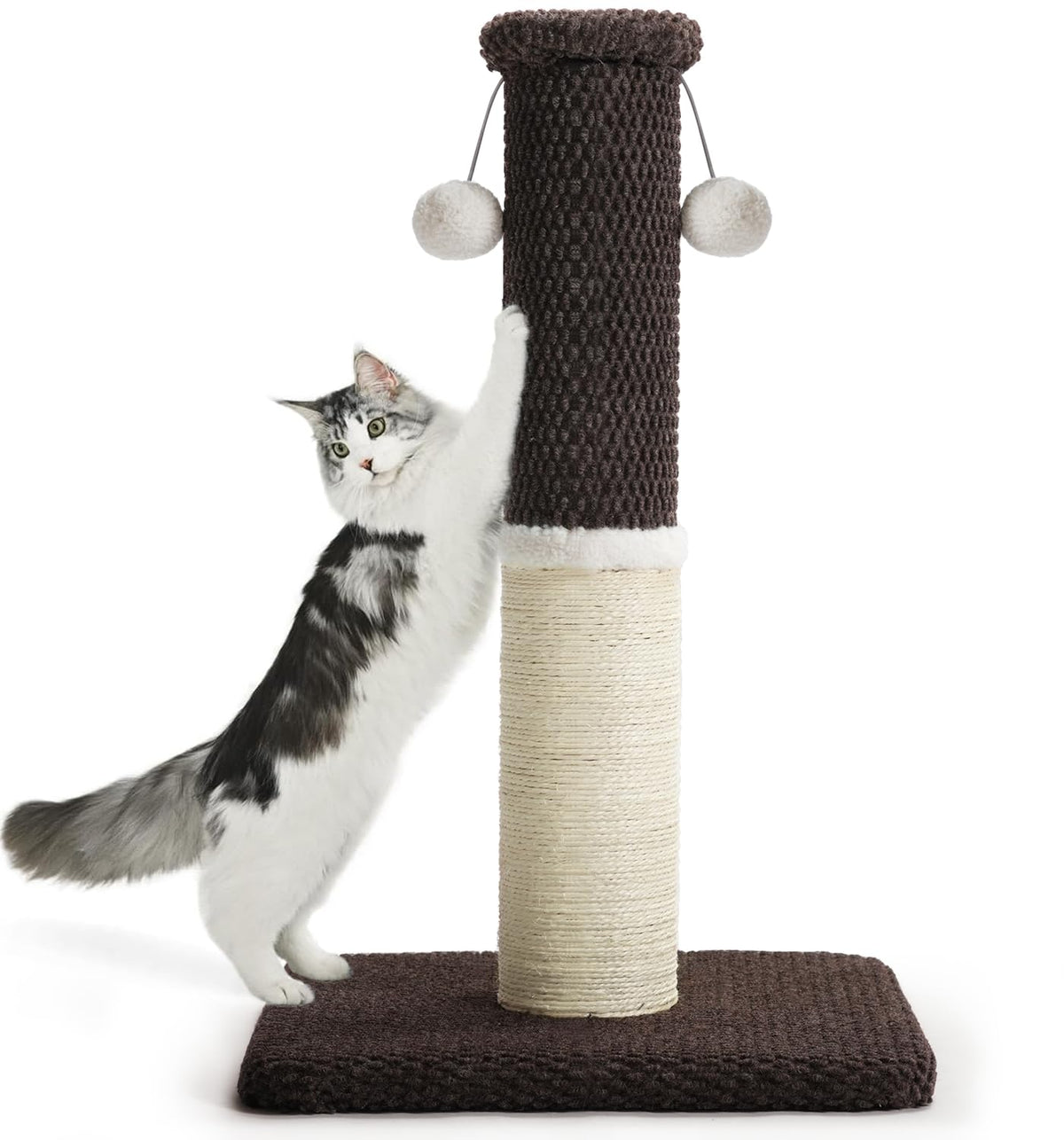 Made4Pets Tall Cat Scratching Post with Sisal & Carpet for Indoor Cats, 33"