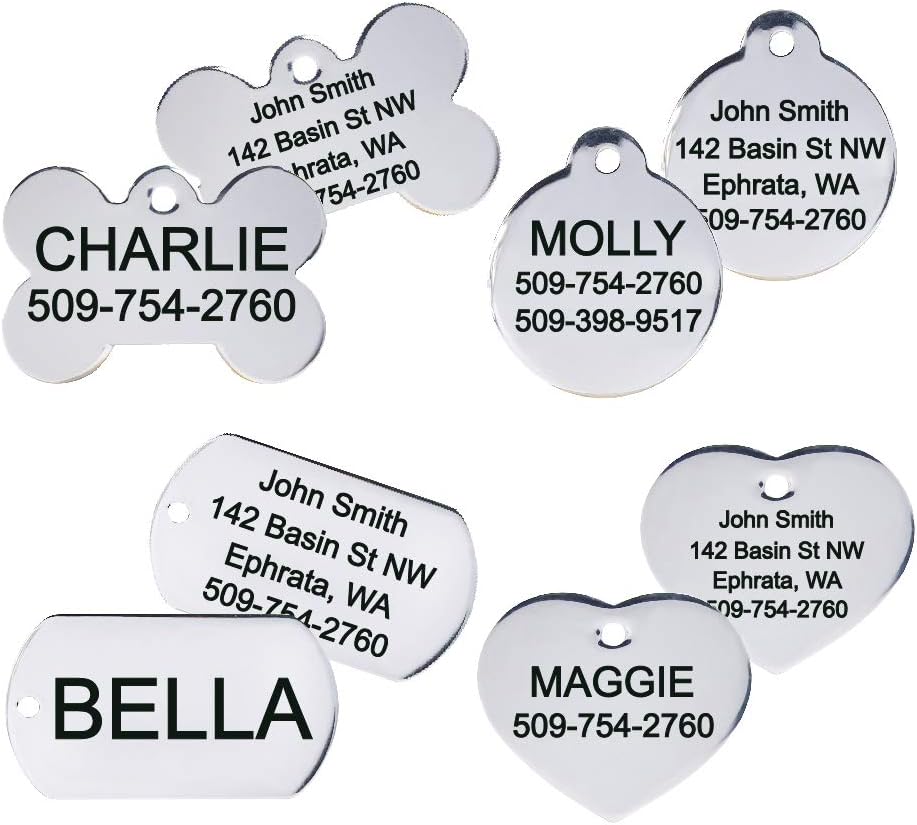 GoTags Personalized Dog Tags in Stainless Steel, Includes Glow in the Dark Tag Silencer to Reduce Noise and Protect Tag and Engraving, No Noise, Quiet Pet Tags, 2 Side Engraving, (Bone Shape)