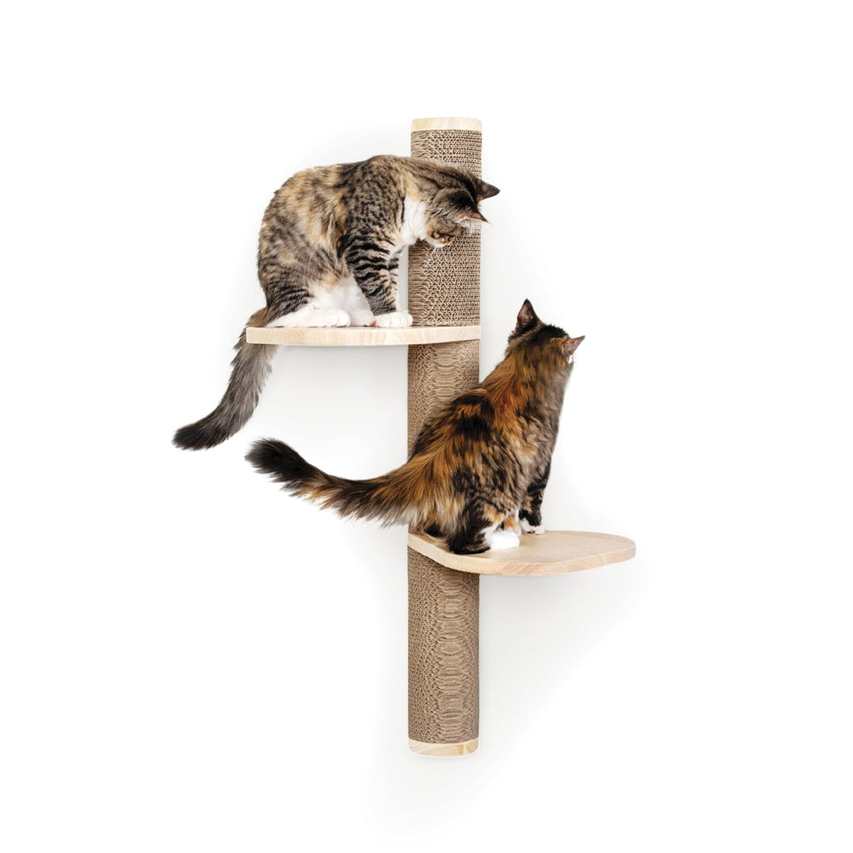 Furhaven 15.75" Tall Playground for Indoor Cats, Ft. Sisal Scratching Posts, Self-Grooming Brush, & Toy - Tiger Tough Hammock Interactive Playground - Silver, One Size