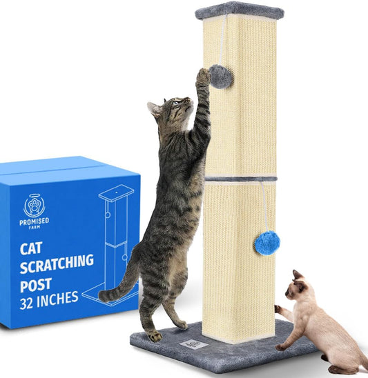 Tall Cat Scratching Post 32 Inches – Cat Scratcher for Indoor Cats Protect Furniture – Durable and Sturdy Design – Aesthetic Cat Accessories Essentials Grey/Blue