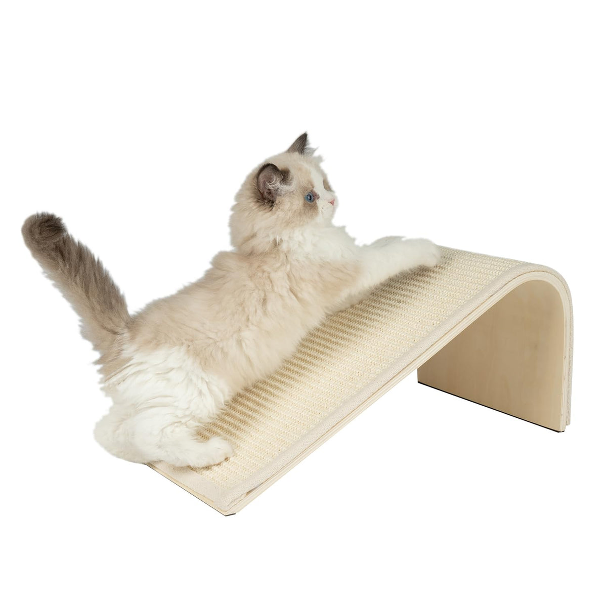 Best Pet Supplies Catify Cat Scratching Ramp - Gray