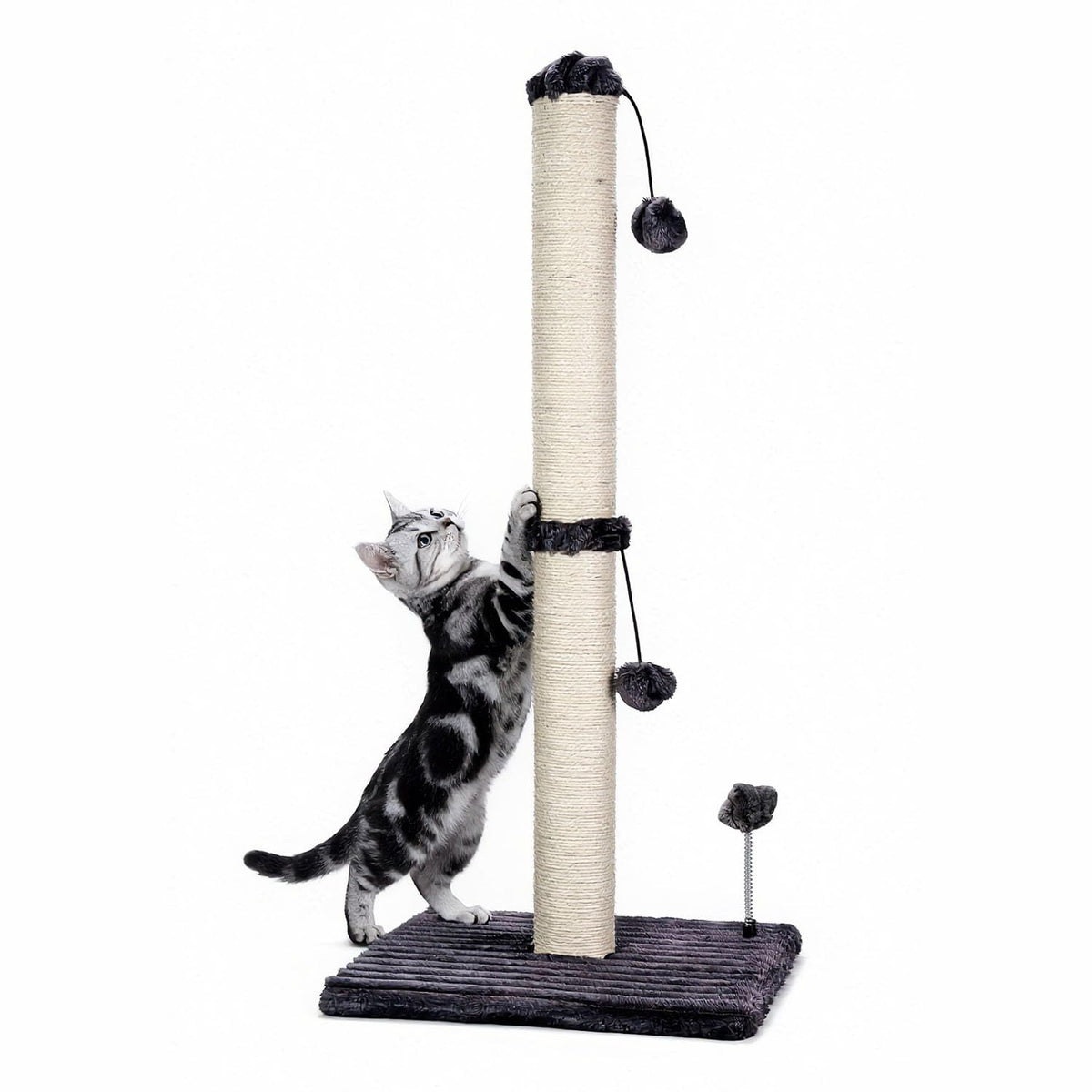 MECOOL Cat Scratching Post Premium Sisal Scratch Posts with Hanging Ball Vertical Scratcher for Indoor Cats and Kittens,Black