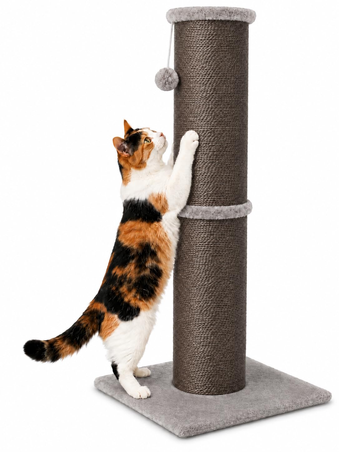 PAWSCRAT 32-Inch Tall Cat Scratching Post, 5.5-Inch Diameter, Sisal, Beige