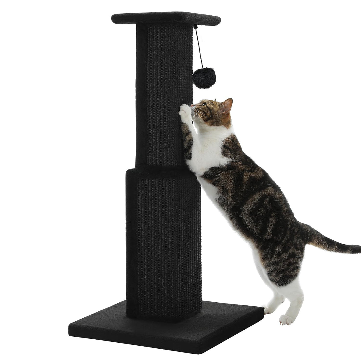 PAWZ Road Large Cat Scratching Post 32" Tall Black Cat Scratcher