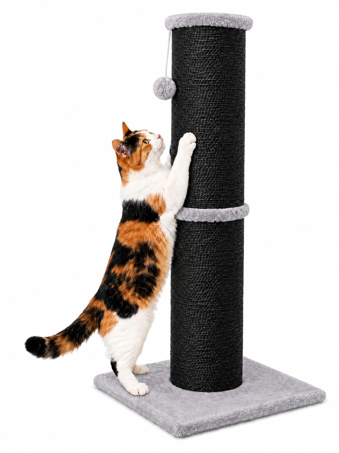 PAWSCRAT 32-Inch Tall Cat Scratching Post, 5.5-Inch Diameter, Sisal, Beige