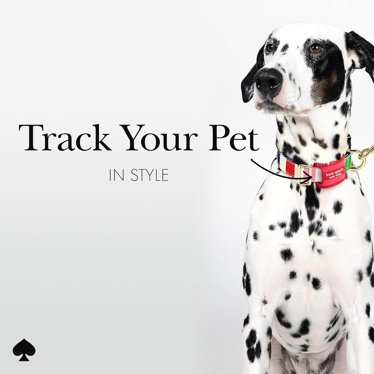 kate spade new york AirTag Dog Collar Holder - Seaside Stripe