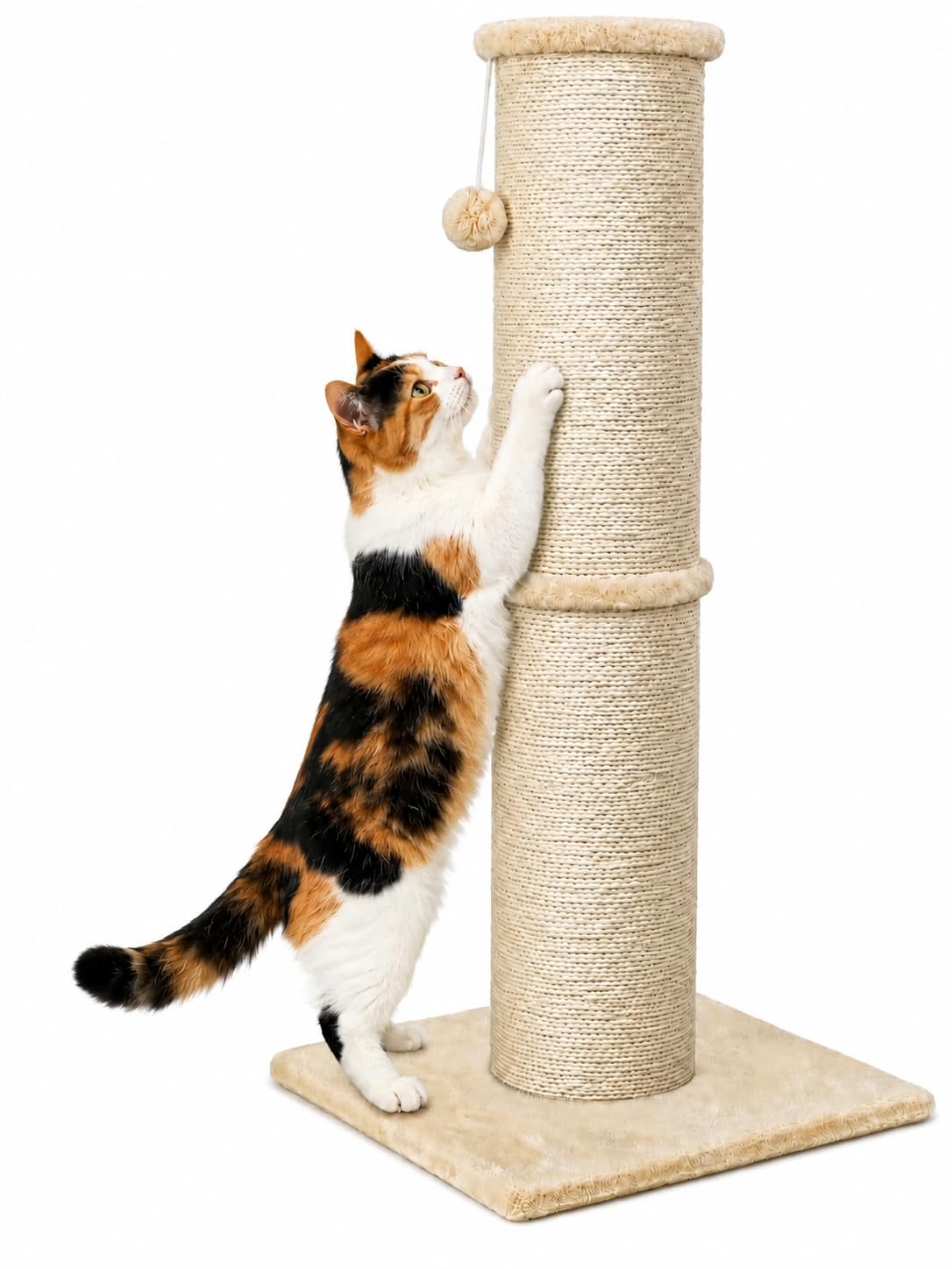 PAWSCRAT 32-Inch Tall Cat Scratching Post, 5.5-Inch Diameter, Sisal, Beige