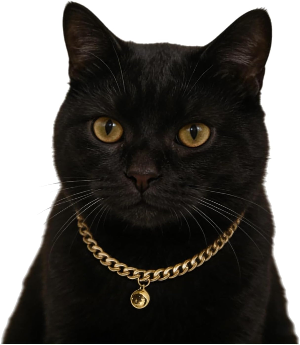 Gold Cat Chain Collar with Bell