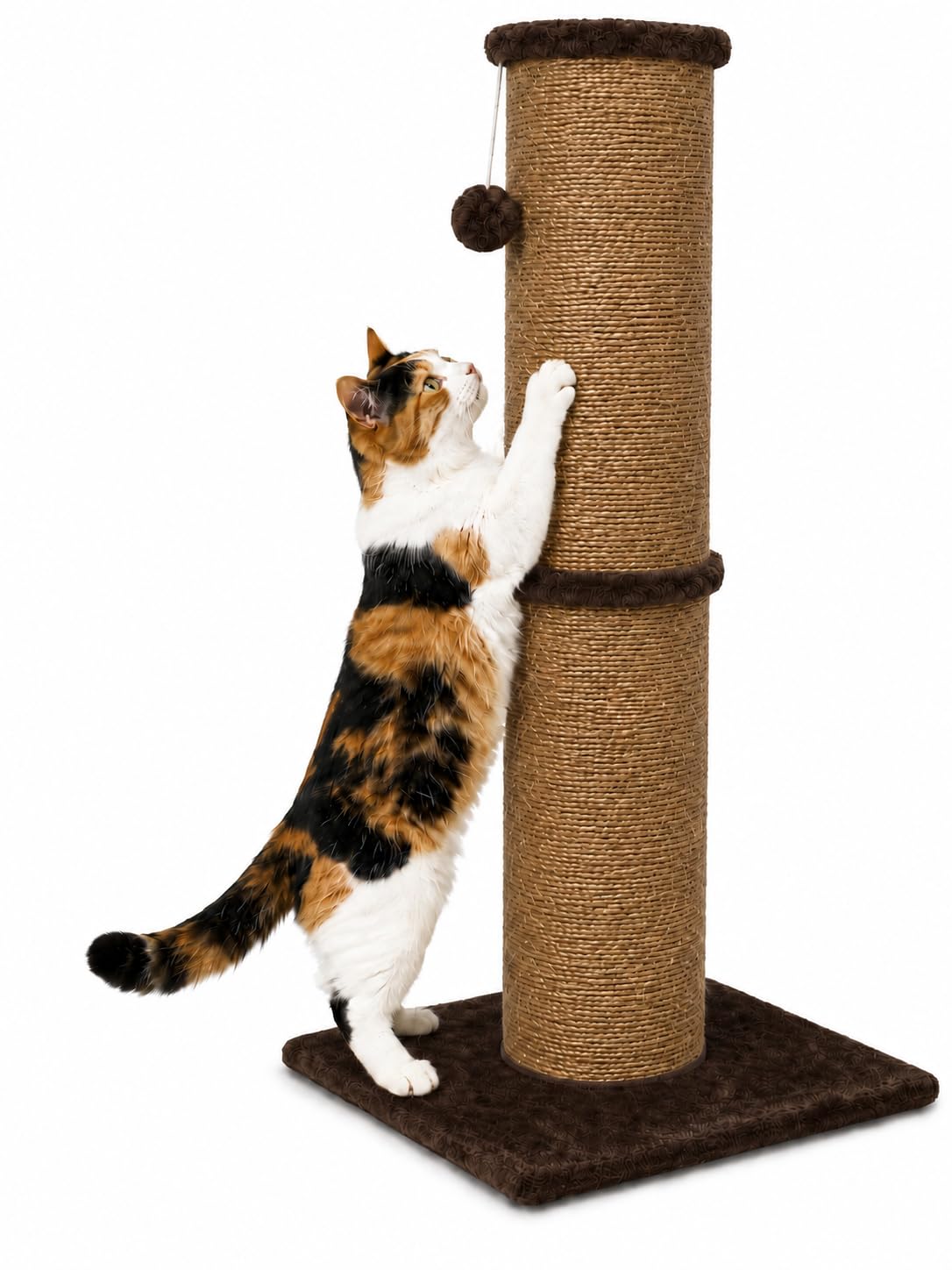 PAWSCRAT 32-Inch Tall Cat Scratching Post, 5.5-Inch Diameter, Sisal, Beige