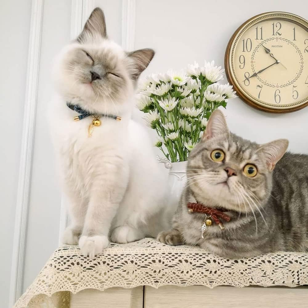 Cute Bowtie Cat Collar with Bell. Japanese Stylish Bowknot & Fish Charm. Safety Breakaway, Soft, Lightweight, for Girl Boy Male Female Cats Kitten,Green