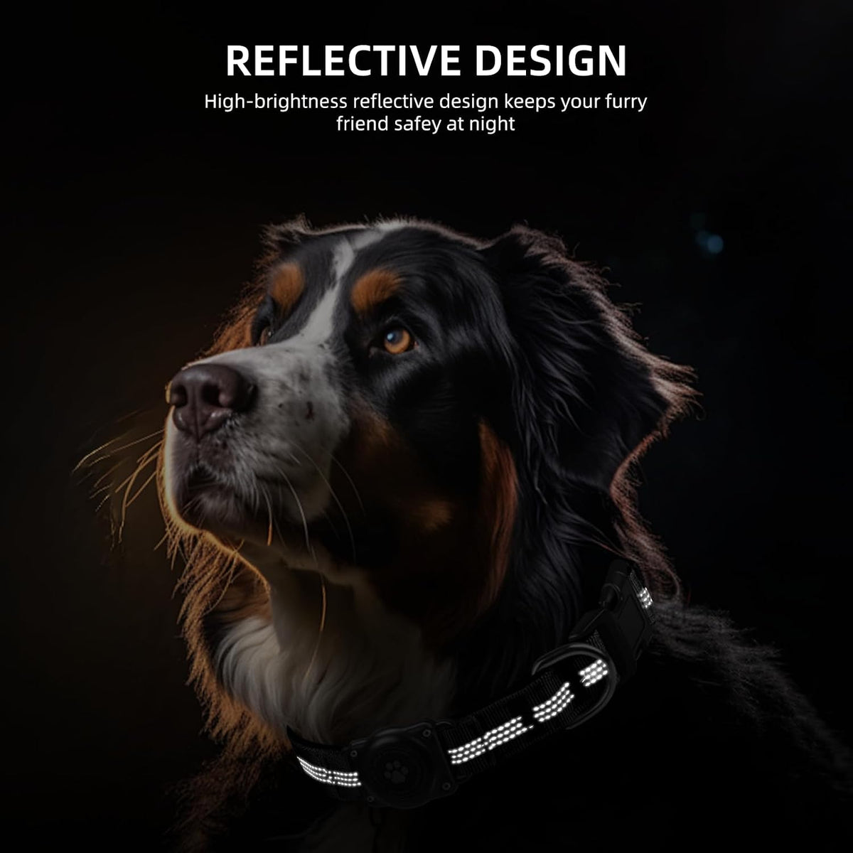 Upgrade Dog Collar with AirTag Holder, IP68 Waterproof, Black, S