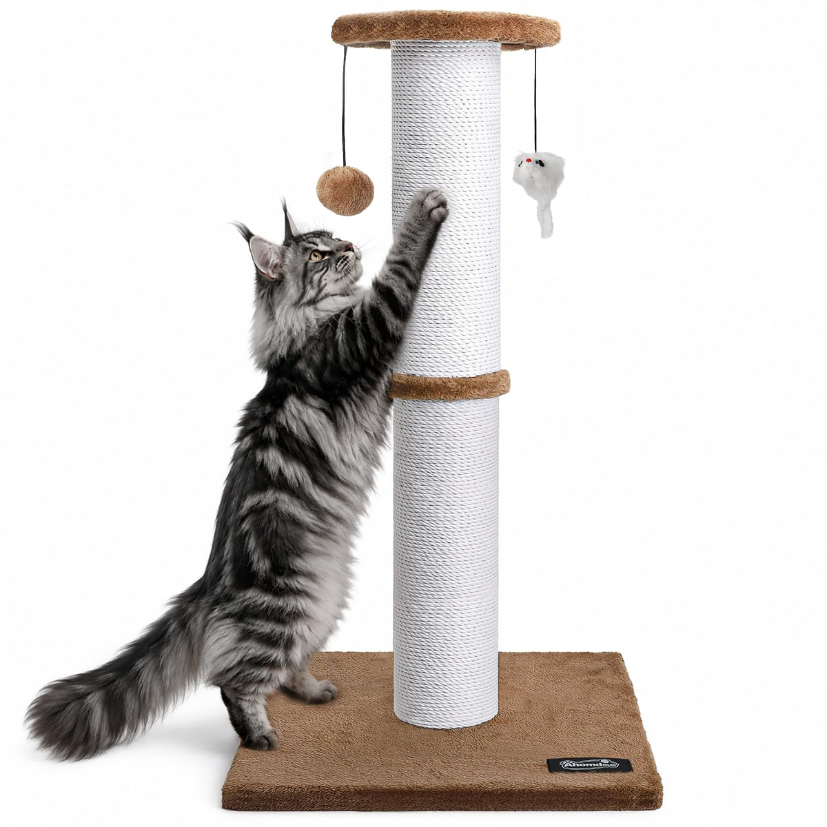 34-Inch Tall Cat Scratching Post for Large Cats, Stable Base, Gray