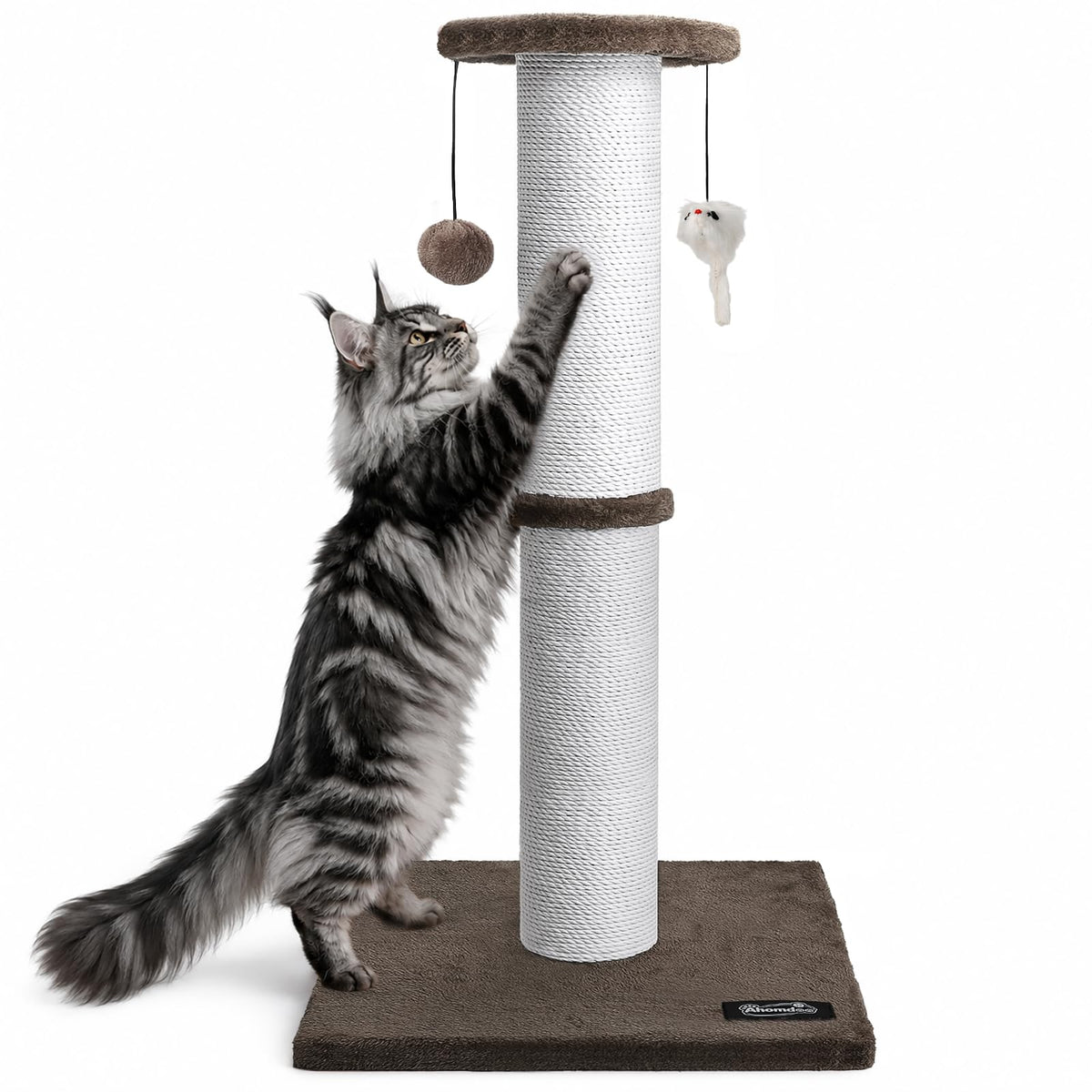 34-Inch Tall Cat Scratching Post for Large Cats, Stable Base, Gray
