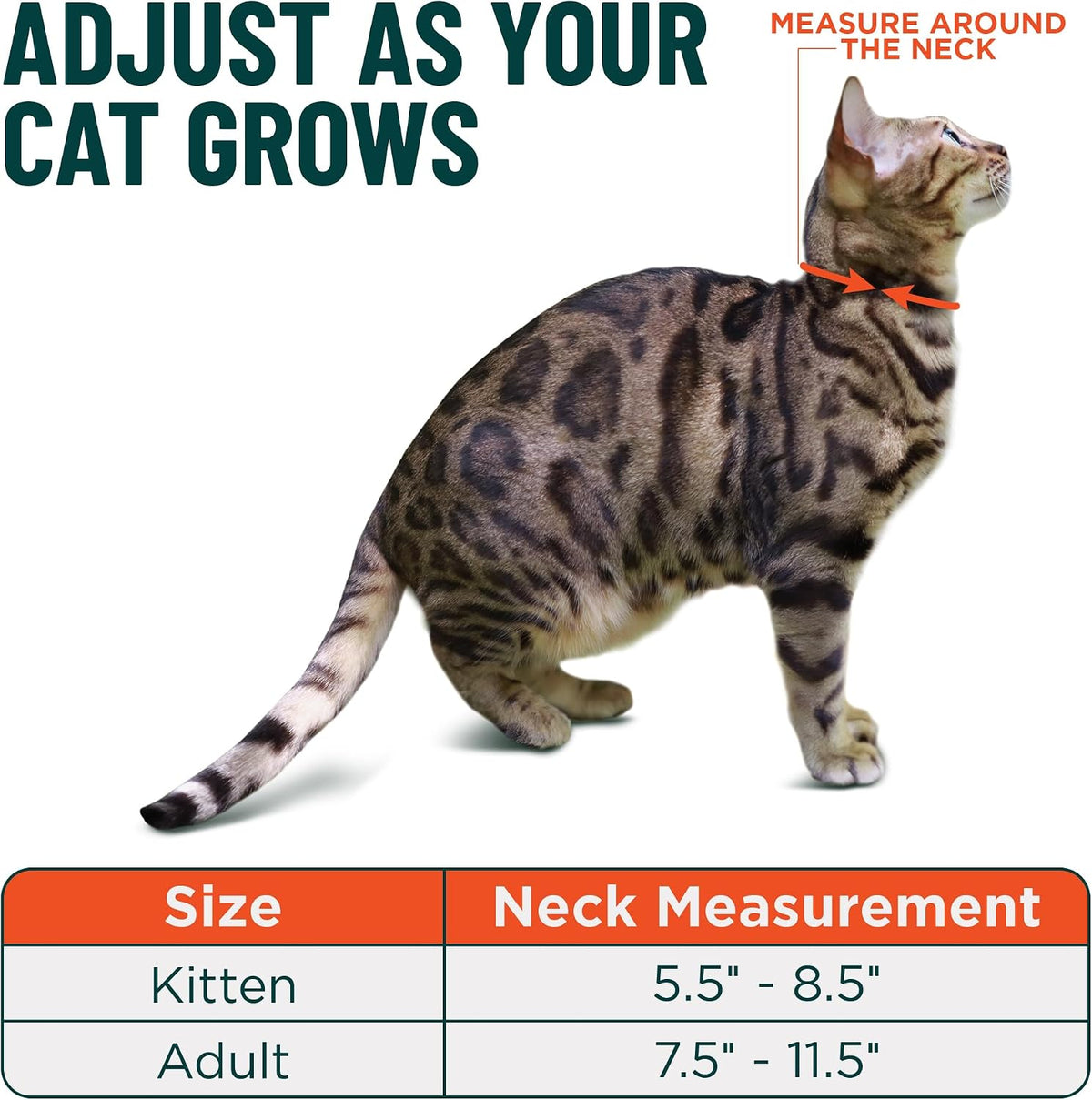 OutdoorBengal Durable Breakaway Cat Collar, No Bell (Black, M/L)