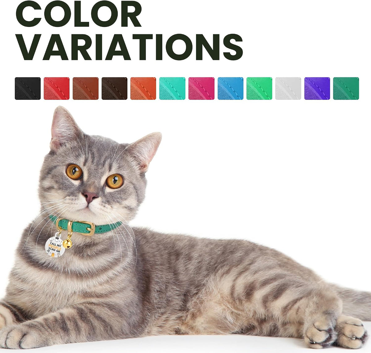 Leather Cat Collar, Removable Bells, QR Tag (9-12", Black & Gold)