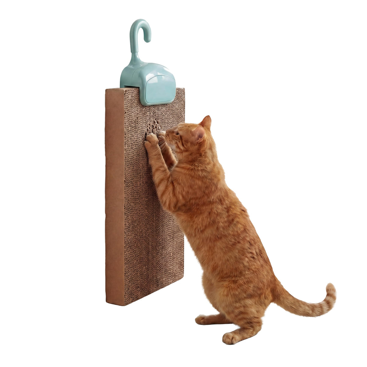 Kitty City XL Wide Corrugate Cat Scratchers 3 Pieces, Cat Scratching, Cat Scratch Pad, Door Clips, Furniture Protectors from Cat Scratching
