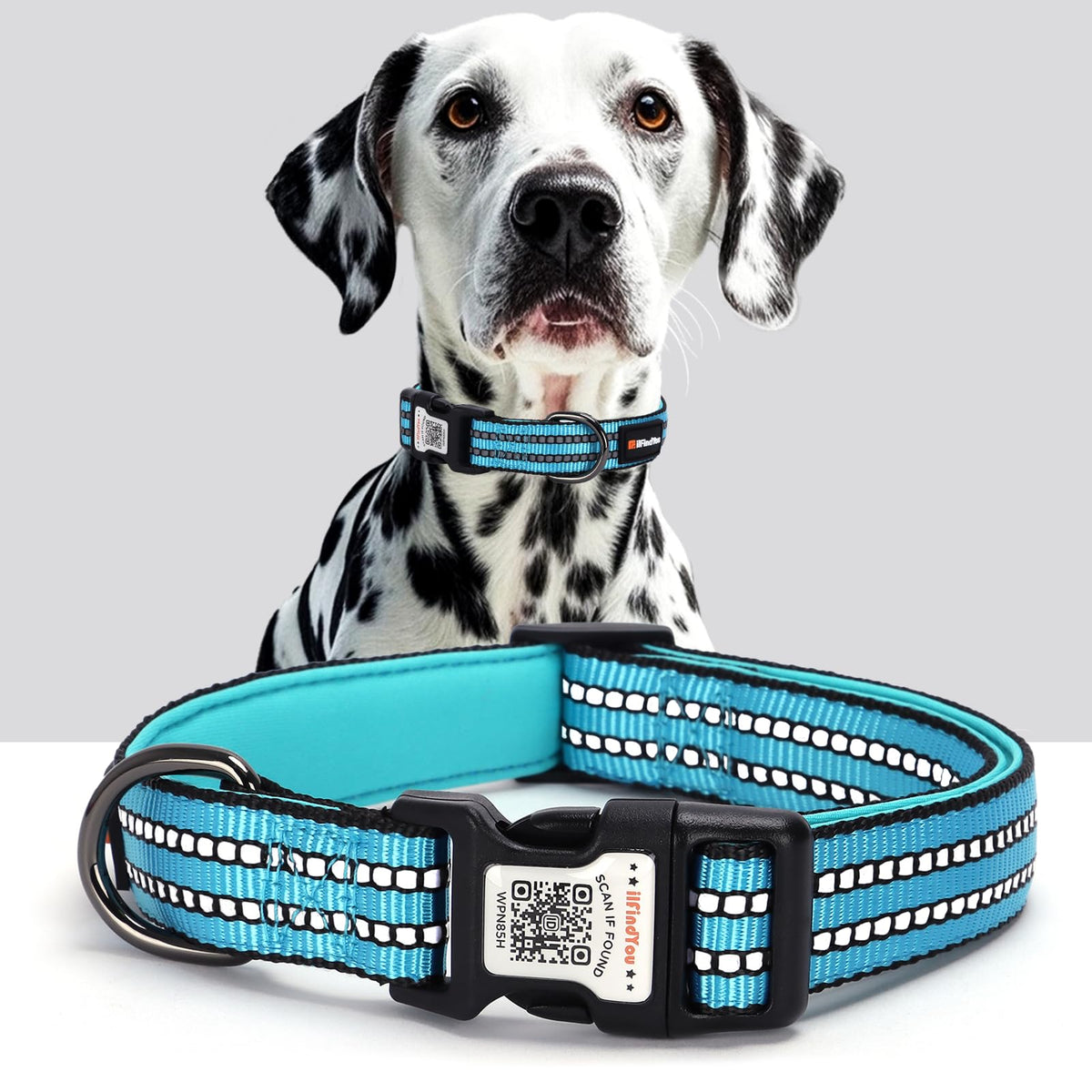 Personalized Dog Collar with QR Code Dog Tag, Light Blue M