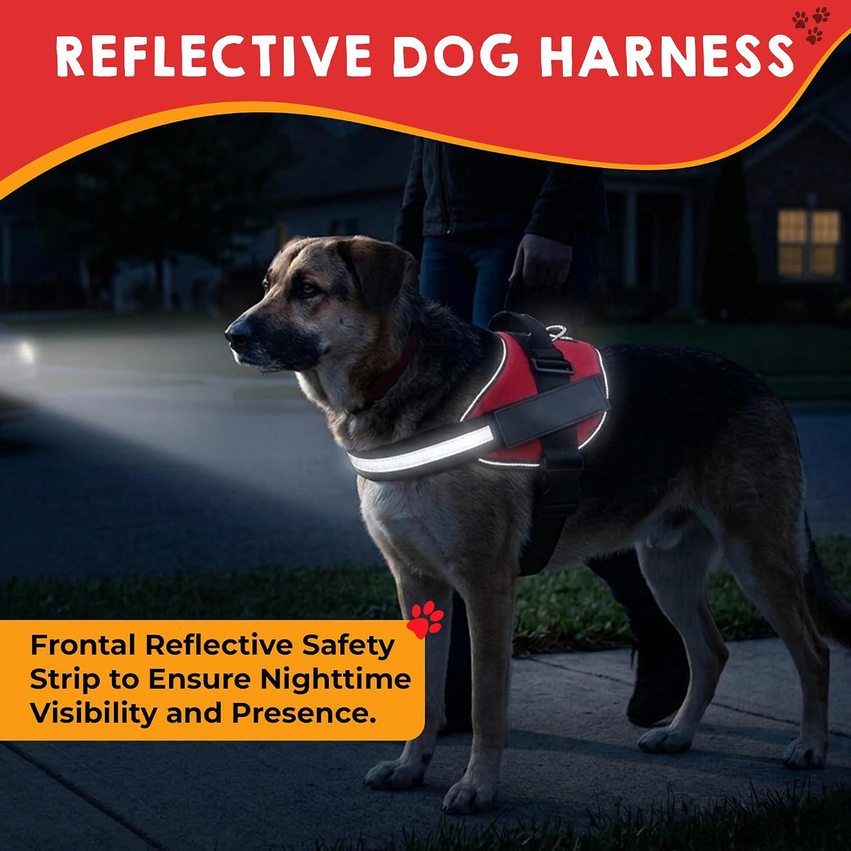 Service Dog Vest, ID Tag 50 ADA Information Cards - Harness with Patchs - L