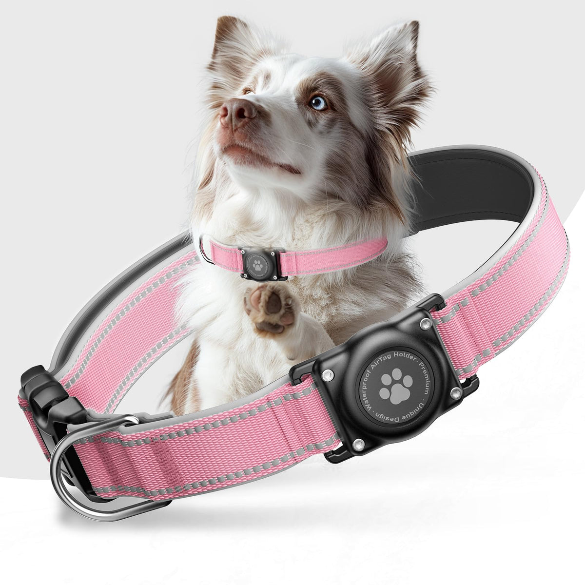 Upgrade Dog Collar with AirTag Holder, IP68 Waterproof, Black, S
